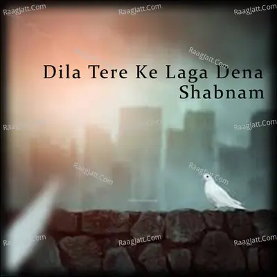 Dila Tere Ke Laga Dena - Shabnam