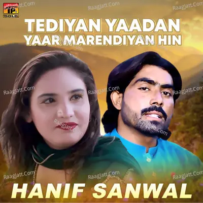 Hanif Sanwal Image