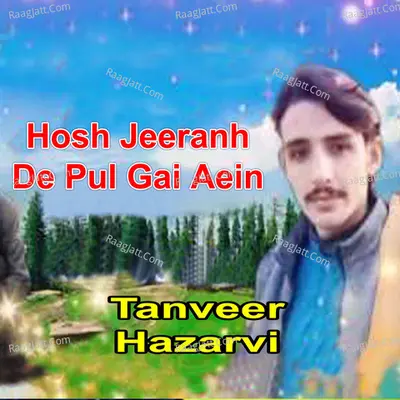 Tanveer Hazarvi Image