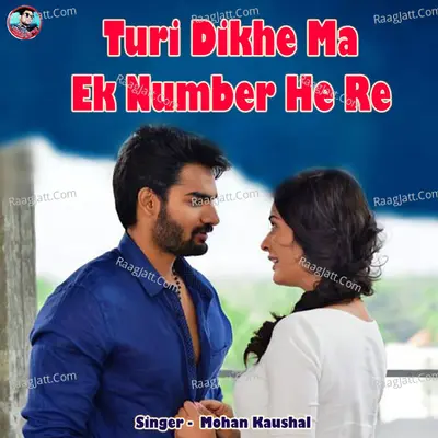 Turi Dikhe Ma Ek Number He Re Cover