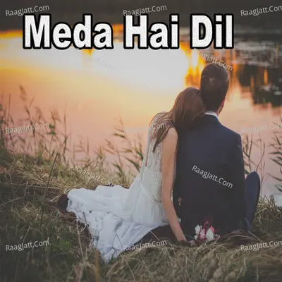 Meda Hai Dil Poster