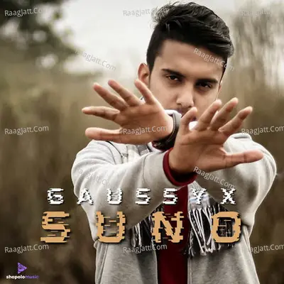 Suno Cover