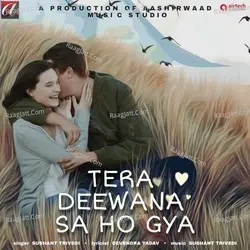 Tera Deewana Sa Ho Gya