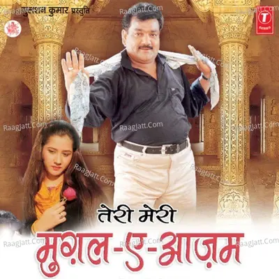Teri Meri Mughale Azam (Comedy) Cover