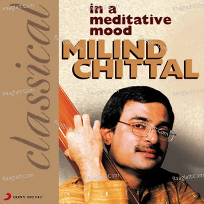 In A Meditative Mood Poster