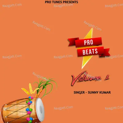 Sunny Kumar Image