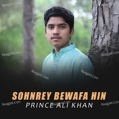 Prince Ali Khan Image