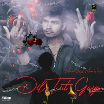 DIL TUT GAYA Cover