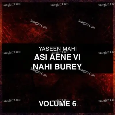 Asi Aene Vi Nahi Burey, Vol. 6 - Yaseen Mahi