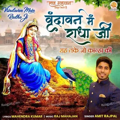 Amit Rajpal