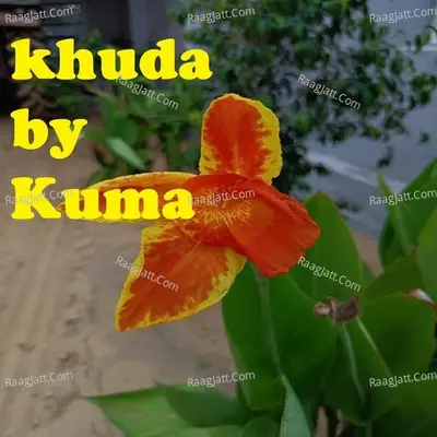 Kuma Image