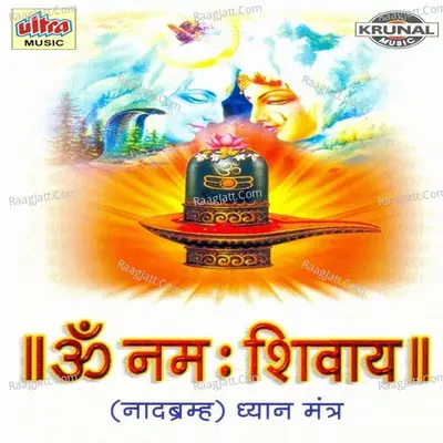 Om Namah Shivay-Nadbhrama Poster