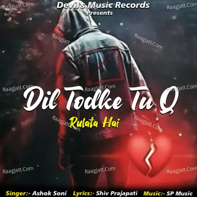 Dil Todke Tu Q Rulata Hai Cover