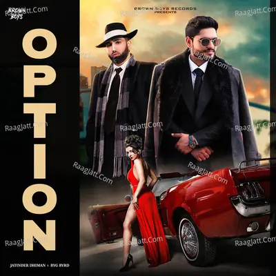 Option Cover
