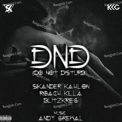 DND (Do Not Disturb)
