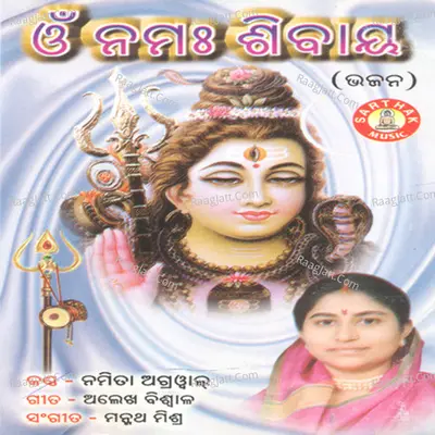 Om Namaha Shibaya - Namita Agarwal