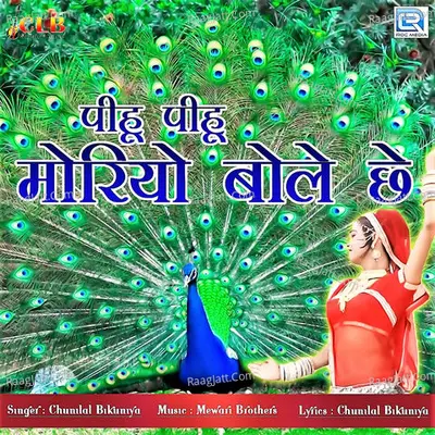 Chunilal Bikuniya Image