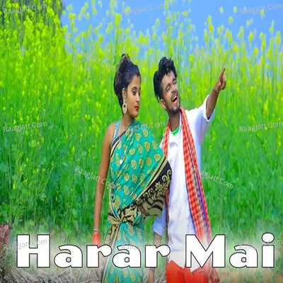 Harar Mai