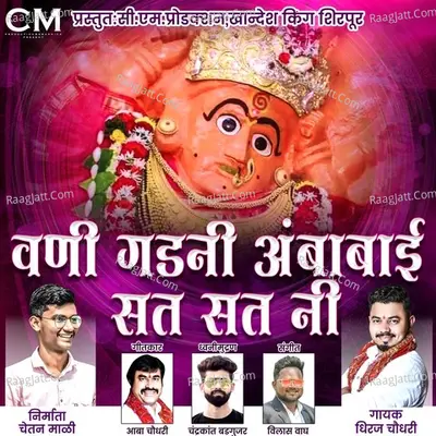Dhiraj Chaudhari Image