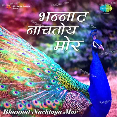 Bhannat Nachtoya Mor Marathi Poster