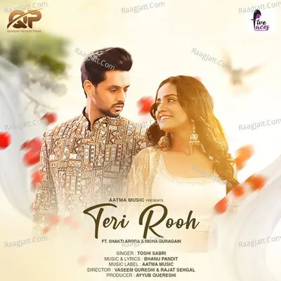 Teri Rooh Cover