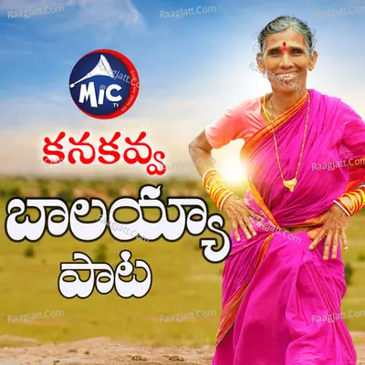 Kankavva Balayya Song Cover