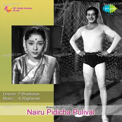 Nairu Pidicha Pulival Poster