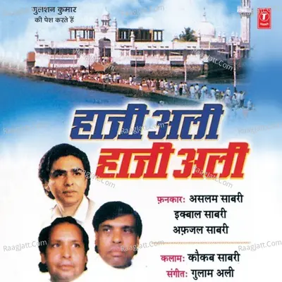 Hazi Ali Hazi Ali Poster