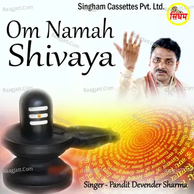 Om Namah Shivaya