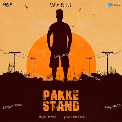 Pakke Stand Cover