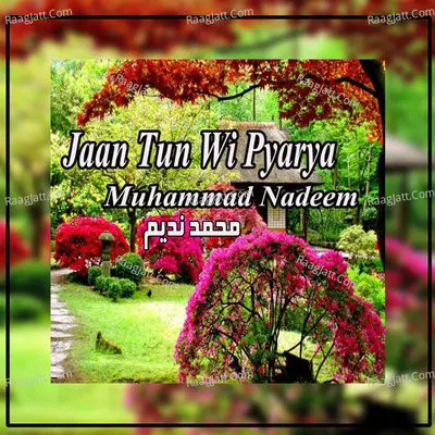 Jaan Tun Wi Pyarya - Muhammad Nadeem