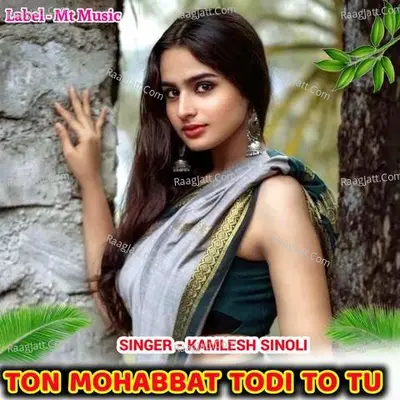 Ton Mohabbat Todi To Tu