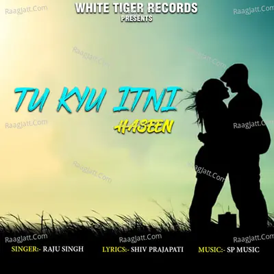 Tu Kyu Itni Haseen