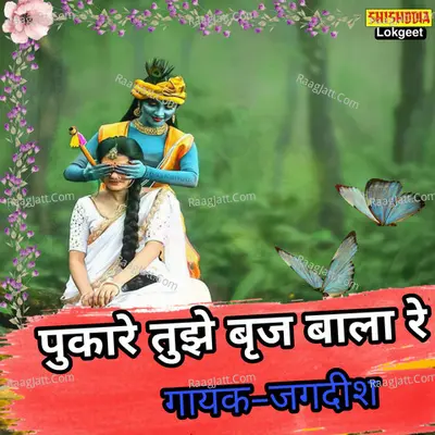Pukare Tujhe Brij Bala Re Cover