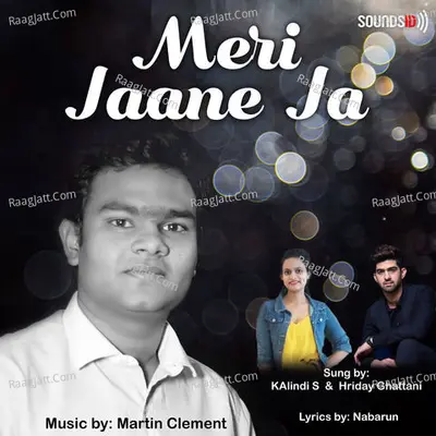 Meri Jaane Ja Poster