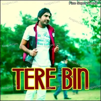 Tere Bin - Akhtar Ali