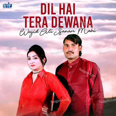 Dil Hai Tera Dewana Poster