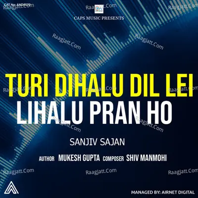 Turi Dihalu Dil Lei Lihalu Pran Ho