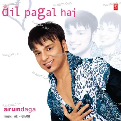 Dil Pagal Hai Poster