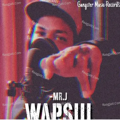 Wapsi Cover