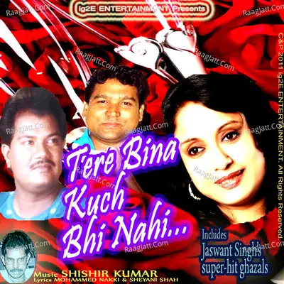 Tere Bina Kuch Bhi Nahi Poster
