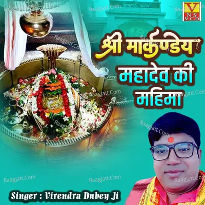 Virendra Dubey Ji Image