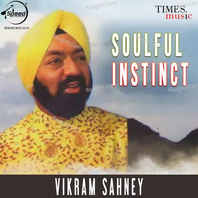 Soulful Instinct Poster