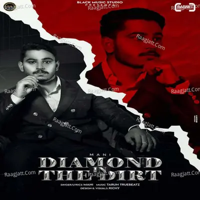 Diamond In The Dirt Cover