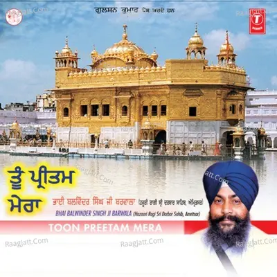 Tu Preetam Mera Poster