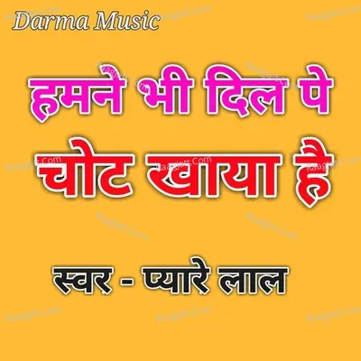 Hamane Bhi Dil Pe Chot Khaya hai