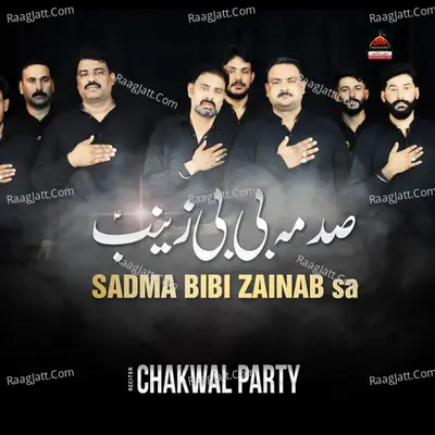 Sadma Bibi Zainab Sa Poster