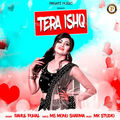 Tera Ishq - Single