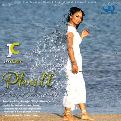 Phull (A Story of Innocent Hearts) Cover