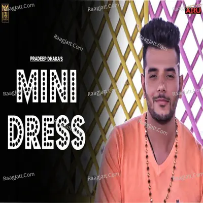 Mini Dress Cover